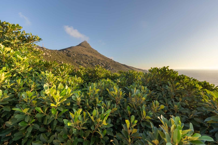 6 Bedroom Property for Sale in Llandudno Western Cape